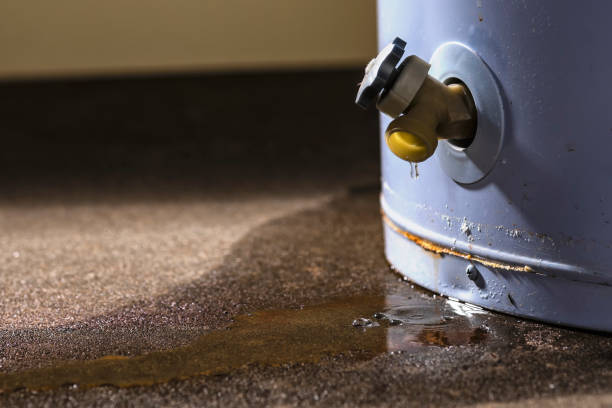 Best Flood restoration services  in Eatonton, GA