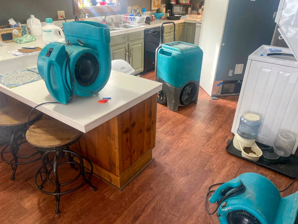 Best Water damage contractors near me  in Eatonton, GA