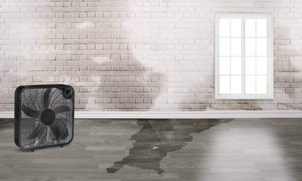 Professional Water damage restoration in Eatonton, GA