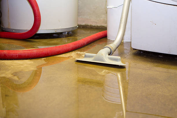 Best Sewage cleanup and water damage restoration  in Eatonton, GA