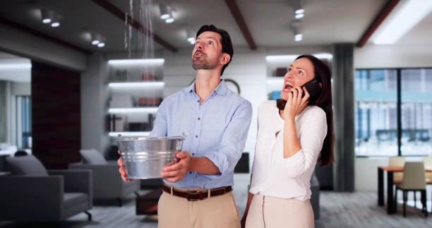 Best Carpet water damage restoration  in Eatonton, GA