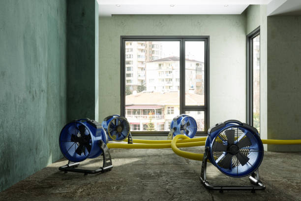 Best 24-hour water damage restoration  in Eatonton, GA